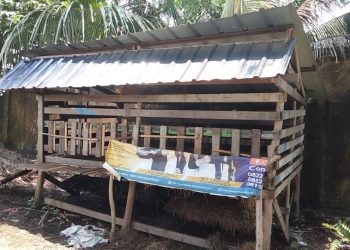 Waspada! Bandit Curnak Beraksi, 8 Ekor Kambing Warga Kota Bengkulu Raib