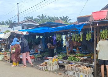 Ini Biang Kerok Harga Cabai Merah Meroket di Pasar Rakyat Mukomuko