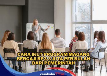 Cara Ikut Program Magang Bergaji Rp3,3 Juta per Bulan dari Pemerintah, Simak Syarat dan Mekanismenya