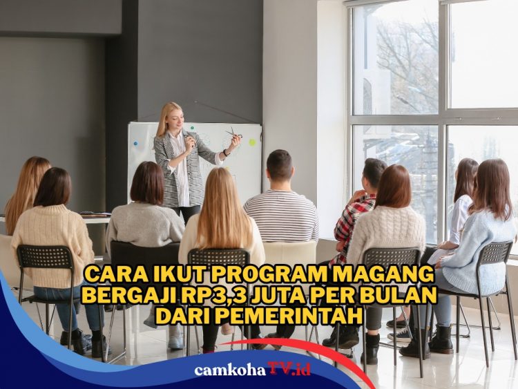 Cara Ikut Program Magang Bergaji Rp3,3 Juta per Bulan dari Pemerintah, Simak Syarat dan Mekanismenya
