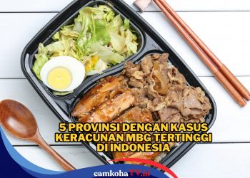 5 Provinsi dengan Kasus Keracunan MBG Tertinggi, Jawa Barat Tertinggi, Apa Benar MBG Mau Disetop?