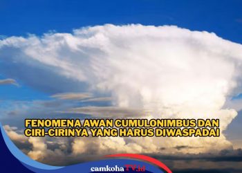 Unik tapi Berbahaya! Begini Fenomena Awan Cumulonimbus dan Cirinya, Jangan Terlalu Takut tapi Wajib Waspada