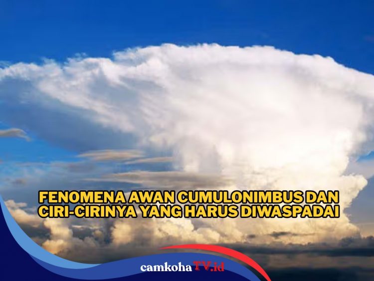 Unik tapi Berbahaya, Ini Ciri-ciri Awan Cumulonimbus yang Muncul Saat Musim Pancaroba