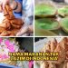 Kuliner Unik dengan Nama Tak lazim di Indonesia, Pernah Nyicipin?