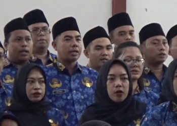 Berapa Besaran Gaji PPPK Paruh Waktu Pemkab Kepahiang?