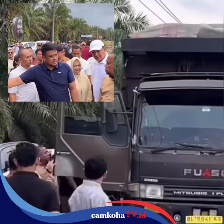 Heboh Rombongan Gubernur Sumut Minta Truk Plat BL Ganti ke BK, Ini Aturan Tentang Plat Nomor Kendaraan di RI
