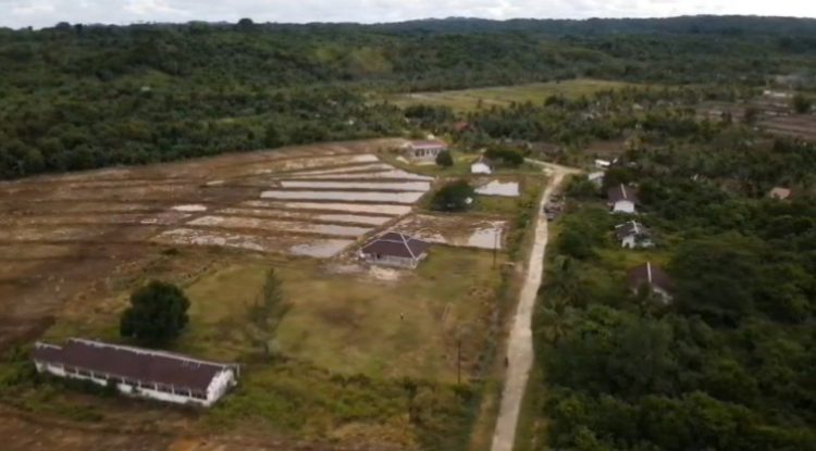 Kebut Swasembada Pangan, Target Cetak Sawah Baru 251 Hektare di Enggano Tahun 2025