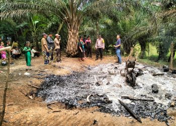 Pondok Kebun dan Sepeda Motor Milik Warga Talo Seluma Terbakar