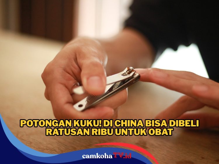 Peluang Uang, Ada yang Cari Kuku Dalam Jumlah Banyak, Harganya Rp 330 Ribu