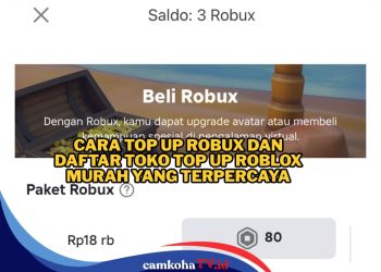 Mau Top Up? Begini Cara Top Up Robux dan Daftar Toko Top Up Roblox Murah
