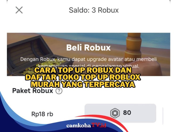 Mau Top Up? Begini Cara Top Up Robux dan Daftar Toko Top Up Roblox Murah