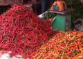 Harga Cabai Kian Pedas, Ini Hasil Koordinasi Pemkot Bengkulu dengan BI