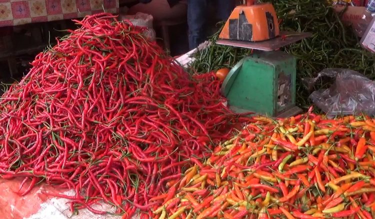 Harga Cabai Kian Pedas, Ini Hasil Koordinasi Pemkot Bengkulu dengan BI