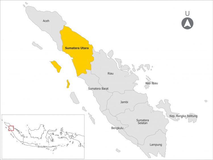 Daerah Mana di Sumatera Utara Paling Kaya? Ini Daftar Terbaru, Labuhan Batu Selatan Juaranya