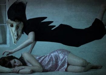 5 Ciri dari Hewan jika Ada Mahluk Halus atau Pertanda Bahaya