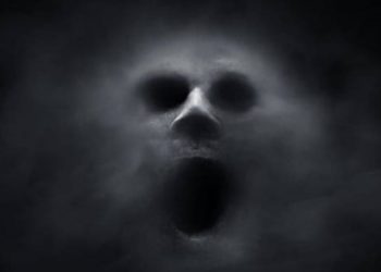 Jika Ada Hewan Ini di Rumah Segera Bunuh, Pertanda Ada Mahluk Halus