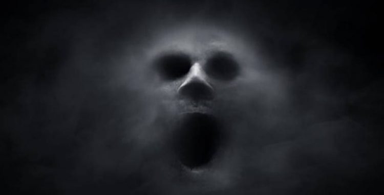 Jika Ada Hewan Ini di Rumah Segera Bunuh, Pertanda Ada Mahluk Halus