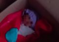 Berawal dari Suara Tangisan, Warga Temukan Bayi di Dalam Kardus