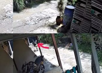 Pria Bertopi Beraksi Curi Tabung Gas LPG, Aksinya Terekam CCTV