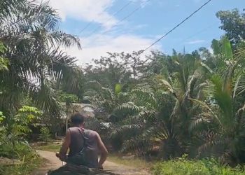 Truck Batu Bara Lagi-lagi Disebut Penyebab Hancurnya Jalan Provinsi