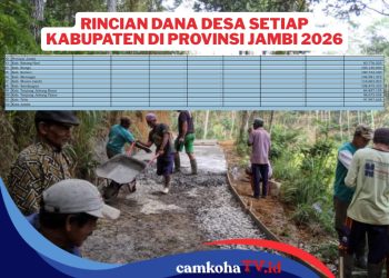 Rincian Dana Desa Tahun 2026 Seluruh Kabupaten di Provinsi Jambi
