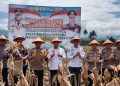 Kapolda Panen Raya Jagung di Kepahiang, Hasil dari Bibit Bhayangkara Merah Putih