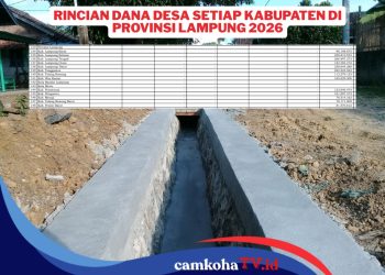 Rincian Dana Desa Seluruh Kabupaten di Provinsi Lampung 2026, Tertinggi Rp 266 Miliar
