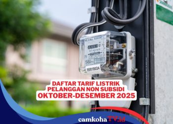 Sudah Cek Tarif Listrik Bulan Oktober Ini? Berikut Rinciannya untuk Semua Golongan