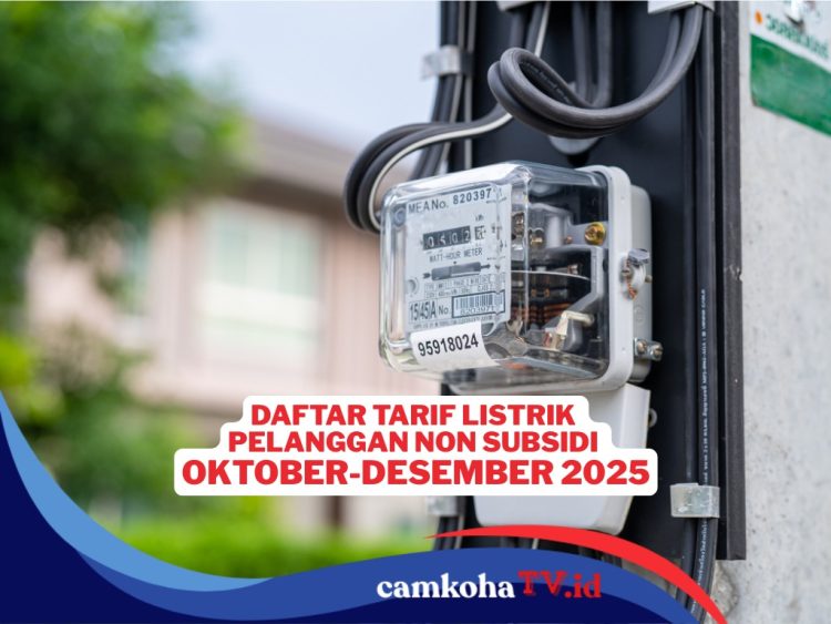 Sudah Cek Tarif Listrik Bulan Oktober Ini? Berikut Rinciannya untuk Semua Golongan