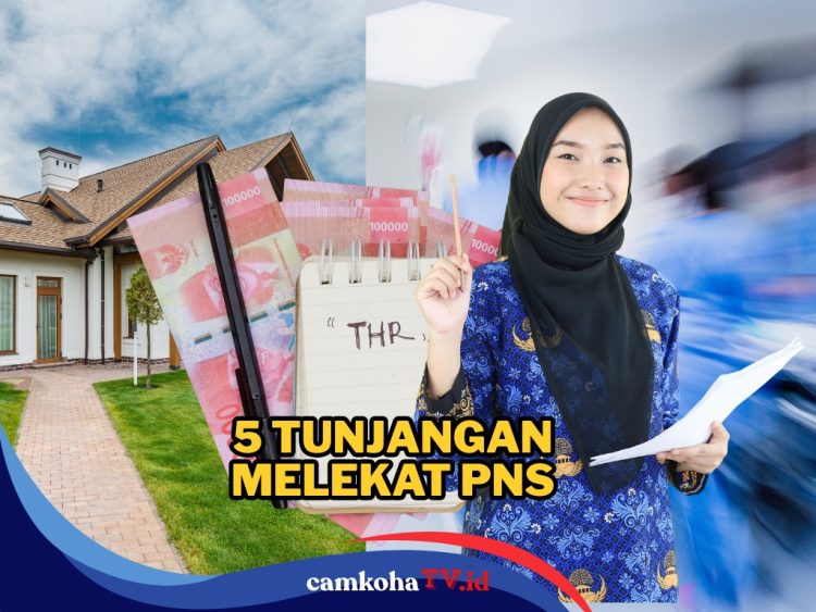 Banyak Diminati, Rupanya Ini 5 Jenis Tunjangan Melekat untuk PNS