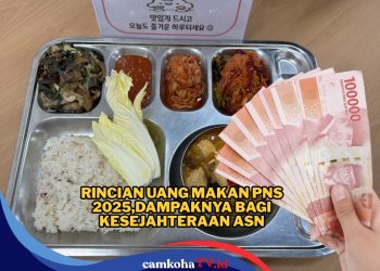 Makin Sejahtera, Ini Rincian Uang Makan yang Diterima PNS 2025 Per Golongan
