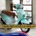 Suzuki Access 125, Skutik Retro dengan Sentuhan Modern dan Super Irit, Segini Harganya