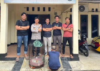 Nekat Curi Burung Murai Batu, Pria Asal Bengkulu Selatan Kini Diringkus