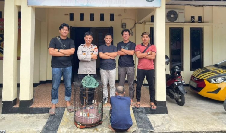 Nekat Curi Burung Murai Batu, Pria Asal Bengkulu Selatan Kini Diringkus