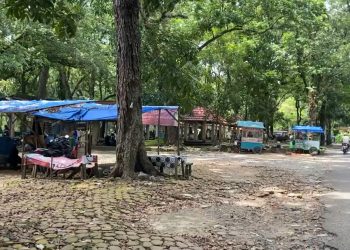 Yodan Land Group Batal Kelola Taman Remaja, Kenapa?