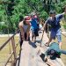 Efisiensi Anggaran, Jembatan Gantung Penghubung Desa Gelombang- Desa Bandung Agung Seluma Direhab Swadaya