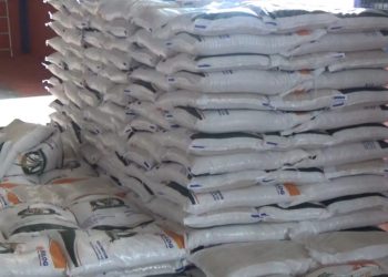 Penerima Bantuan Pangan Beras 10 Kg di Bengkulu Utara Berpotensi Berkurang