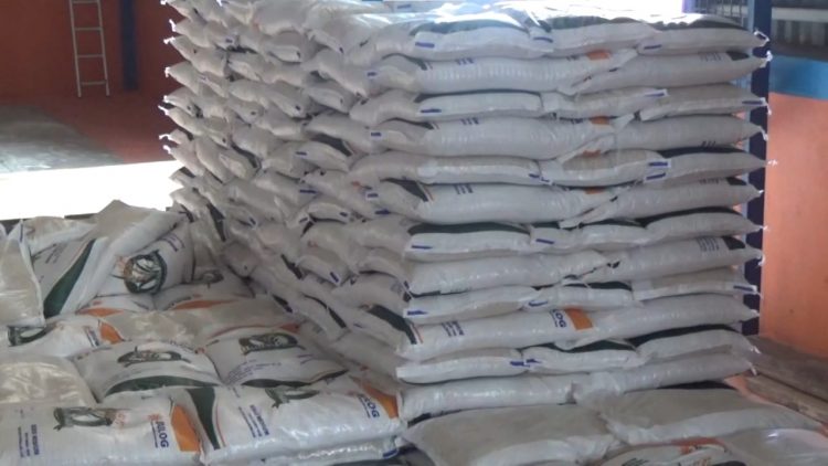 Penerima Bantuan Pangan Beras 10 Kg di Bengkulu Utara Berpotensi Berkurang