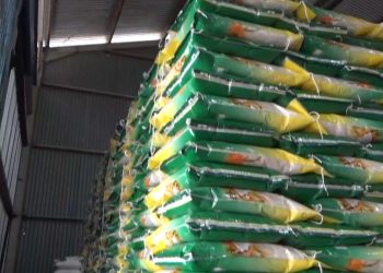 Bulog Bengkulu Utara Setujui 3 Mitra, 5 Calon Mitra Masih Proses Administrasi