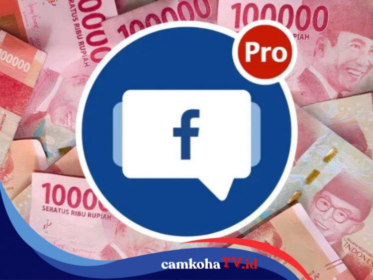 Kreator Wajib Tahu Kebijakan Terbaru Syarat Monetisasi FB Pro Tahun 2025