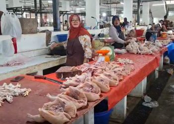 Harga Ayam dan Cabai Merah di Bengkulu Utara Masih Tinggi