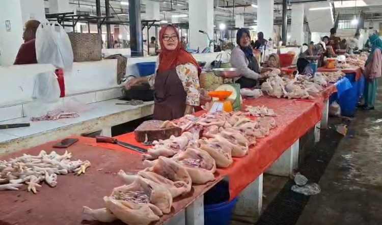 Harga Ayam dan Cabai Merah di Bengkulu Utara Masih Tinggi