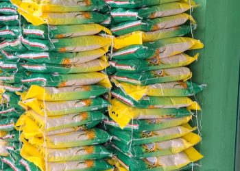 Gerakan Pangan Murah Bantu Stabilkan Harga Bahan Pokok di Mukomuko