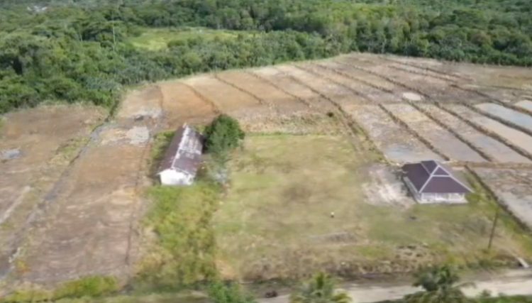 DTPHP Bengkulu Utara Usulkan Ulang Lahan Program Cetak Sawah ke Pemerintah Pusat