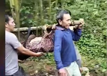 Hanyut di Sungai Kedurang, Nenek 75 Tahun di Bengkulu Selatan MD