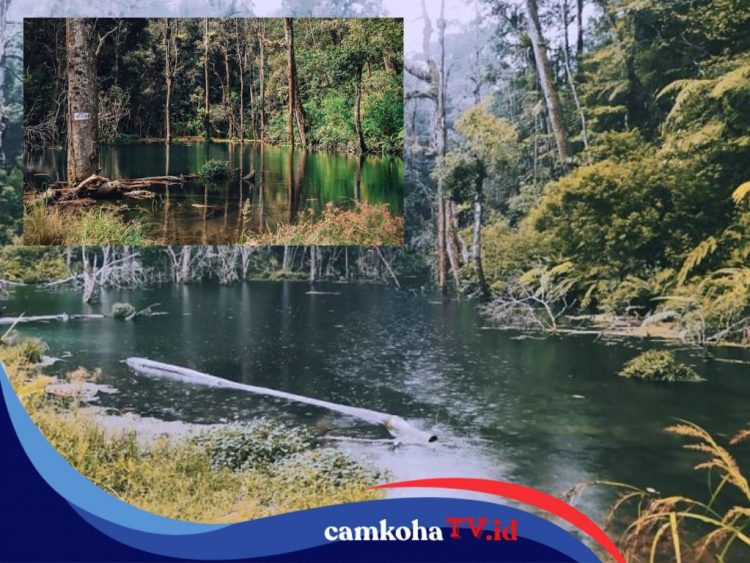 Tersesat di Jalur Lembah Tengkorak, Pendaki di Bandung Akhirnya Kembali ke Pelukan Keluarga