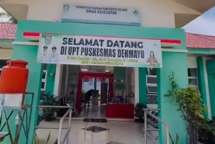 Kepala UGD Puskesmas di Seluma Diserang Anjing Gila