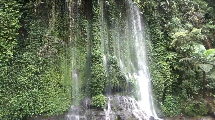 Manfaatkan Potensi Desa, Pemdes Batu Raja Rejang Kembangkan Pariwisata