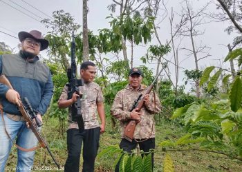 Pengprov Perbakin Bengkulu Basmi Hama Babi di Kepahiang, Sekaligus Motivasi Atlet Menembak