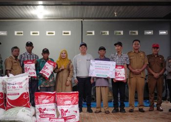 Senator Peduli Ketahanan Pangan: Ketua DPD RI Serahkan Bantuan Alsintan dan Benih Jagung di Kecamatan Padang Jaya